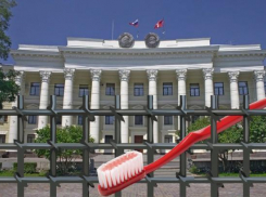 Топ-5 самых необычных госзакупок в Волгограде