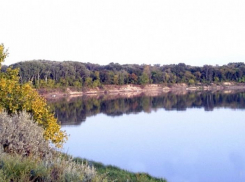 Оздоровлением бассейна реки Дон занялись на высоком уровне