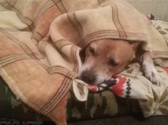 В Волгограде вновь похолодает до -8ºС