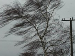 На Волгоградскую область надвигаются дожди с грозами и шквалистым ветром до 27 м/с