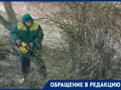 Беспощадную вырубку живой сирени засняла жительница Волгограда