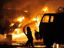 МЧС сообщает о двух погибших в ночном пожаре в Волгоградской области