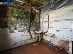 На антисанитарию в домах и нарушения прав потребителей чаще всего жаловались волгоградцы 