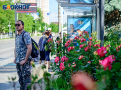 Три человека из Волжского умерли за сутки после коронавирусной пневмонии