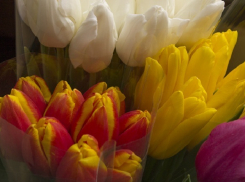 Начало ноября порадует волгоградцев тремя выходными подряд