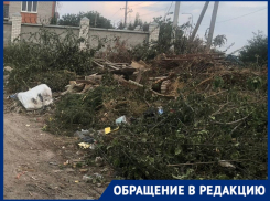 Мэрия Волгограда объяснилась за стихийную свалку в горевшем частном секторе