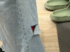 Волгоградку на остановке укусила бродячая собака