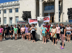 «Все еще летают самолеты»: приехавшие в Волгоград дети рассказали об обстановке в ЛНР