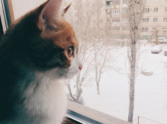 Волгоградцам пообещали снег и гололед