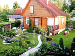  «Блокнот» знает, где взять все необходимое для дачно-шашлычного сезона