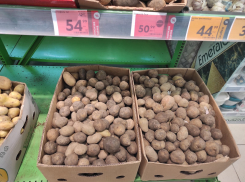 «Кто-то пошутил?»: в Волгограде бесплатно раздают картофель