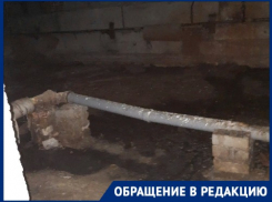 «Даже бомжи испугаются полезть согреться»: летающая живность оккупировала сырой дом в Волгограде