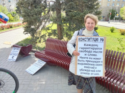 Волгоградку в десятый раз задержали на одиночном пикете с цитатами из Конституции