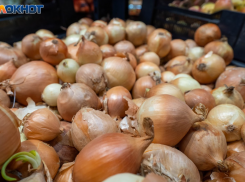 Лук подорожал на 27% в Волгограде