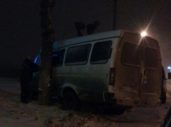 На юге Волгограда маршрутка влетела в дерево
