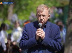 Бывший вице-мэр Волгограда уходит работать в частную фирму под крыло экс-начальницы МФЦ 