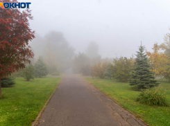 Теплое туманное воскресенье наступило в Волгограде