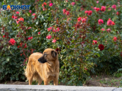 Сильное похолодание до +9 объявлено в Волгоградской области