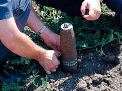 В Волгограде рядом с детским садом найдена мина