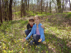 Краснокнижные первоцветы зацвели в Волго-Ахтубинской пойме