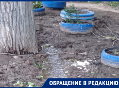 Коварный тополь обвинили в затоплении поселка в Волгограде