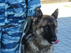 Экс-начальник отдела по контролю за оборотом наркотиков и оперуполномоченный отправились в колонию за подброшенные волгоградцу наркотики