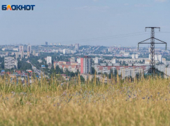  Человеческую ногу нашли в Советском районе Волгограда