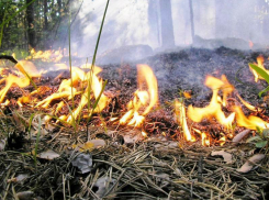 Пожарные отработали навыки борьбы с ландшафтным огнем
