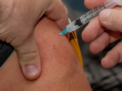 74% волгоградцев высказались «за» прививки