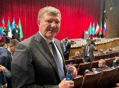 Экс-депутат Олег Савченко решил вернуться в Госдуму в новом статусе