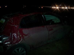 Под Волгоградом пенсионер на Toyota Auris сбил лося и опрокинулся в кювет