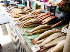 Опасную сельдь из другого времени нашли в Волгоградской области