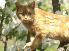 Теплом до +24ºС и первой грозой радует волгоградцев середина рабочей недели