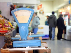 Половина волгоградских бизнесменов торгуют либо ремонтируют автомобили