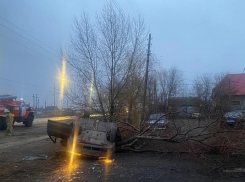 В Волгоградской области машина опрокинулась и врезалась дерево: водитель скончался