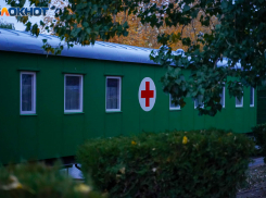 Волгоградская область внесла весомую долю в российский антирекорд смерnности от COVID-19