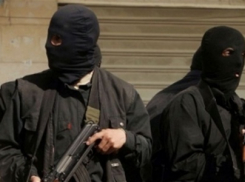 В Волгограде задержали 21-летнего серийного преступника