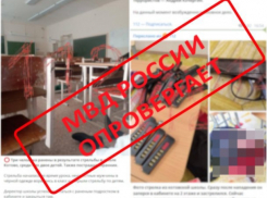 Жуткий фейк распространили об убийстве в школе Котово