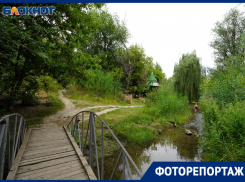 «Эта вода исцеляла защитников Сталинграда»: в центре Волгограда скрывается святой источник