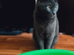 В Волгограде отключат горячую воду на три дня