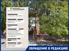 Волгоградцы опасаются нового неизвестного вируса: вспышки заболевания среди детей