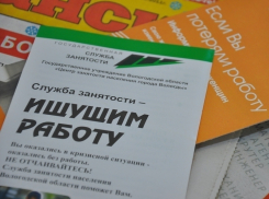 Только 65 беженцев из Украины получили работу в Волгограде