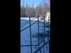 Волгоградский облздрав заявил о необходимости ограждения поликлиники колючей проволокой