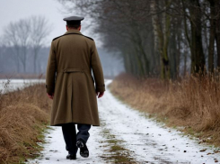 Волгоградец арестован за прогулку в нацистском плаще