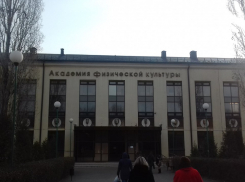 Завкафедрой ВГАФК идет под суд за взятки по магистерским диссертациям