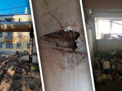 Трупный запах, грозди тараканов и «убитый динозавр»: открытое письмо волгоградцев с жалобой на 17 УК