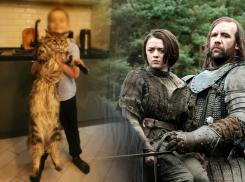 Кот ростом с первоклассника живет в Волгограде: на имя вдохновил гигант из «Игры Престолов»