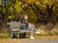 Названа модная профессия с низкими шансами найти работу в Волгограде: 9 резюме на вакансию