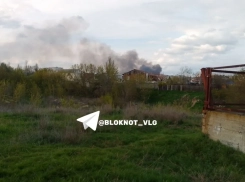 Царицынская пойма загорелась в Волгограде 