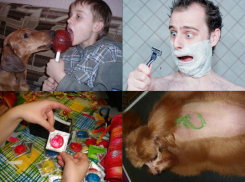 В Волгограде подорожали секс по телефону, татуаж собак  и чупа-чупсы